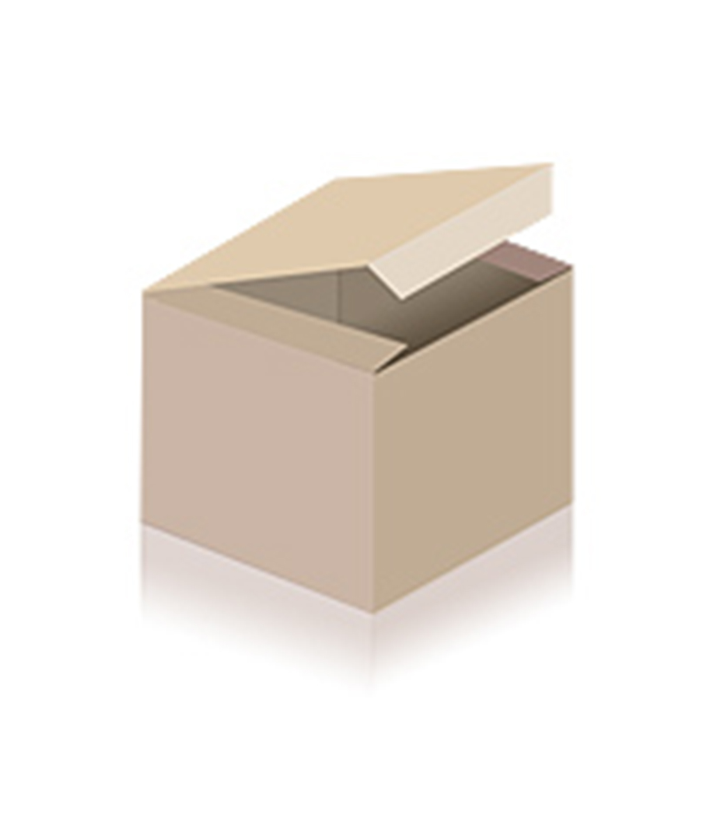 Brake Pad Set, disc brake SP 366 PR